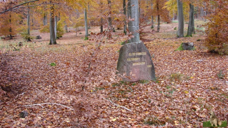 Ritterstein Nr. 227-4 Alte Strasse  Keltenzeit - Mittelalter.JPG - Ritterstein Nr.227 Alte Strasse Keltenzeit - Mittelalter